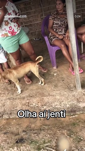 Os vídeos de Mariana ferreira do bacabal (@marianaferreiradobacabal) com som original - Mariana ferreira do bacabal