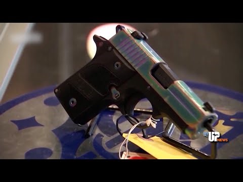 Michigan GOP proposes ‘constitutional carry’ to end concealed pistol license mandate