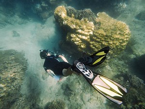 PADI Diving Courses in Madagascar - Madagascar Volunteer