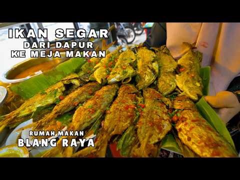 WAJIB COBA!! SEMUA MASAKAN KHAS ACEH DI SINI ENAK || RUMAH MAKAN BLANG RAYA