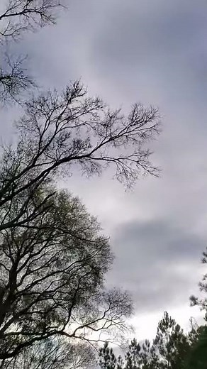 Potato Gun Mortar FULL SEND!!!