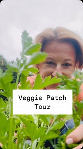 My vegetable garden has shrunk in size over the past few years to keep it manageable. But we had the garden ‘done’ last summer, and I definitely wanted to keep a vegetable patch in the mix. The old vegetable patch was at the bottom of the garden and wasn’t getting enough sun so wasn’t very productive. We decided to add a strip a vegetable patch next to the lawn with a little drop behind it (which you can’t see very well on the video) but it does mean you can stand behind and reach everything wit