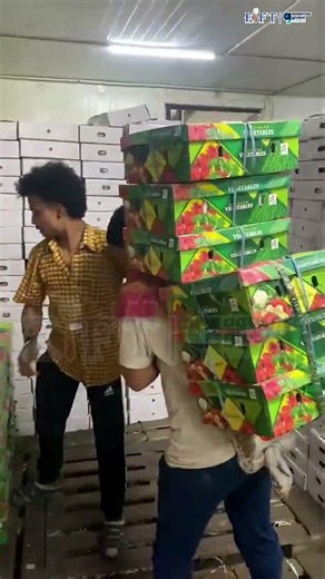 Three containers of mixed vegetables from Eift are being exported