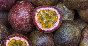How to grow passionfruit from seed