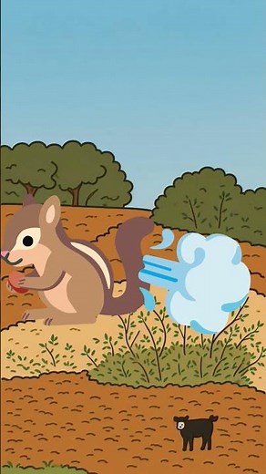 Chipmunk fart sounds