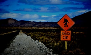 Recent Bigfoot Sighting Renews Interest In The Legend Of The Ohio Grassman