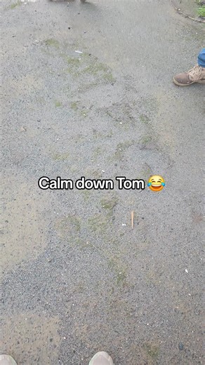 Calm Down Tom: Hilarious Moments from Top Gun