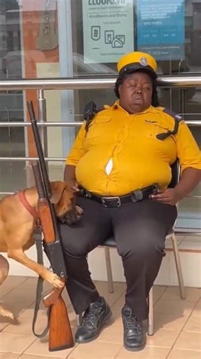 When a Dog Catches a Woman Security Guard Sleeping 😂🐕