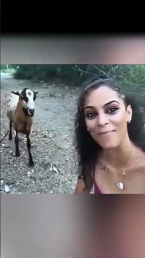 What Could Go Wrong? EVERYTHING! 🤦‍♂ #funny #shorts #viral #memes