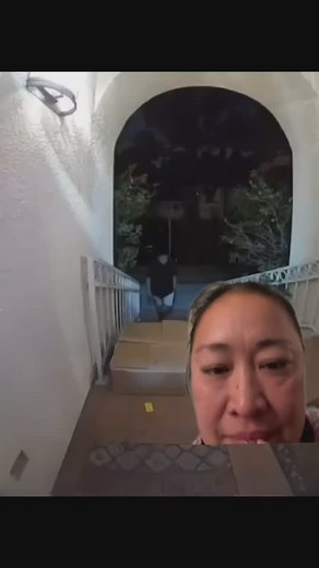 44M views · 1.6M reactions | Ok I know this is staged, but it’s still hilarious! Porch pirate: @leogonzall I can’t stop laughing!! #reelsviral #instagramreels #roasted | Corazon Ediza Ferris | Facebook