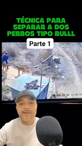 173K views · 1K reactions | Te enseño los errores y aciertos al separar a dos perros tipo bull | Carlo Castro | Facebook