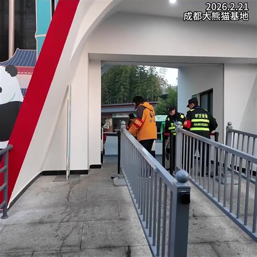 Rush to See HuaHua at the Panda Base