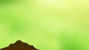 Plant Growth Animation Digital Plant Health Stock Footage Video (100% Royalty-free) 1111211769 | Shutterstock