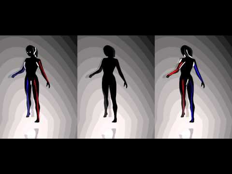 The Best Optical Illusion Spinning Girl
