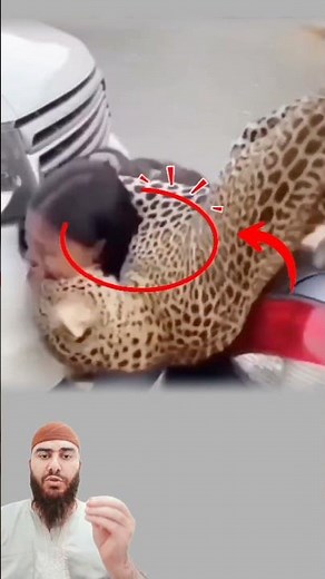 لحظة واحدة فقط… والنمر قفز فوق السيارة بلا إنذار😱😭🤲☝🐅🚐🚐#youtubeshorts