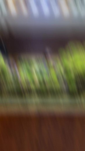 Replanting Moss: Creating Beautiful Aquascapes at Home