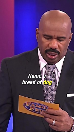 Name a breed of dog that starts with the letter “C.” 🤔🐶🤯 Preferably a real breed. #FamilyFeud #SteveHarvey
