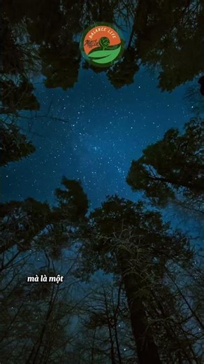 An yên hay phiền não chính là do kình quyết định #baihoccuocsong #trietlysong #loiphatday