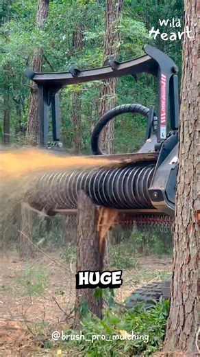 472K views · 3K reactions | Why Turn Perfectly Healthy Trees to Mulch? #forestry #mulching #interestingfacts | Wild Heart | Facebook