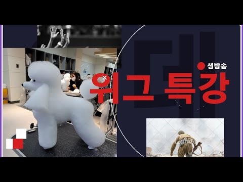 Part 1. Wiggram Clip Special Lecture Video Released - Professor Eom Gyu-ri (Dog Stylist)