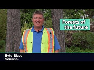 Helping forests adapt to climate change (Byte-Sized Science)