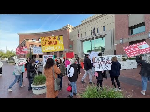 Animal cruelty case draws protesters at Ada County Courthouse
