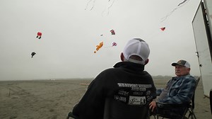 Flying kites on the beach makes anyone a kid again