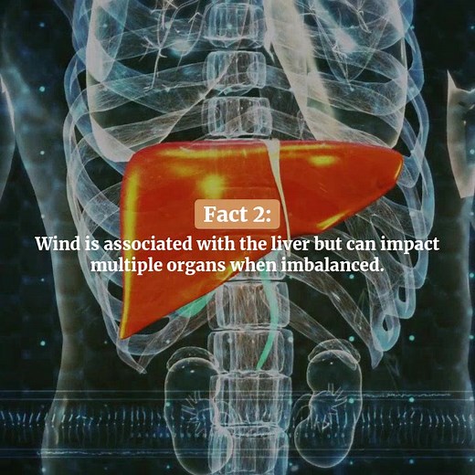 ️ Dive into 3 fascinating facts about wind in traditional Chinese medicine! Gain insights on how it affects your health and emotions. Discover how understanding wind can transform your well-being. Let’s harmonize with nature's elemental force together! #ChineseMedicine | Balanced Energy | Facebook