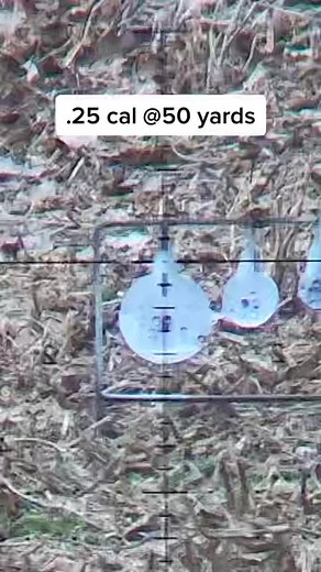 ,25 cal pellets at 50 yards #shooting #hunt #hunting #fyp #fypシ #tiktok #foryoupage