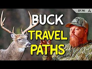 3 Ways to Decipher Buck Travel Paths | VIEWER Q&A