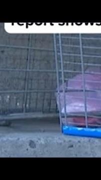 Homelessness numbers fall across California