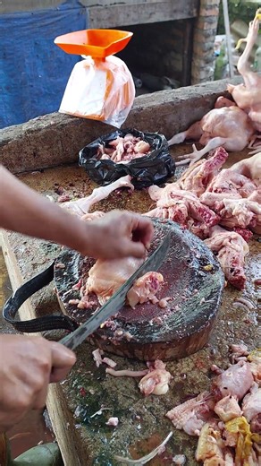 Chicken Chopping for Beginners: A Step-by-Step Guide