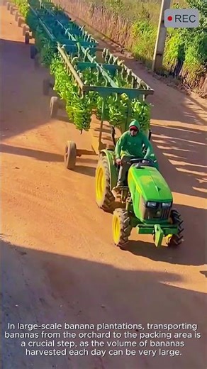 Fast Banana Transport Vehicle on Farm #video #viral #creative #technology #machine