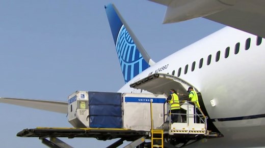 Massive Covid-19 vaccine distribution network prepares for approval