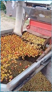 156K views · 1.1K reactions | Mesin pulping kopi ⬇ https://s.shopee.co.id/5VKsOMufkR | Thecoffedaya | Facebook