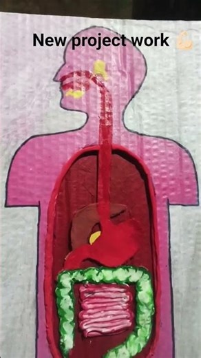 new project work for watching this channel 💪🏻😲✅🥹😘🩻🩺🩹