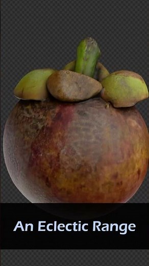 423 FREE models #3d #3dscanning #blender