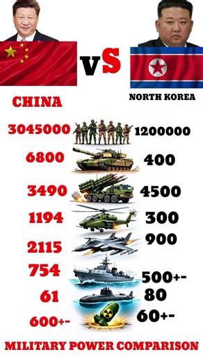 China vs North Korea | Who Is Stronger ?