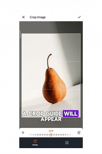 Print without margins or borders, image to a4 size pdf converter #a4 #print #pdf #free #image