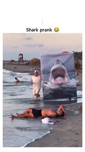 fuuukey | The post features a 16-second beach prank video where pranksters drag a large shark-head tarp through shallow water to scare a sunbathing... | Instagram