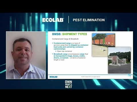 Understanding BMSB Fumigation Requirements on Exports to Australia and New Zealand