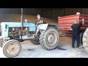 Rakovica 65 u problemu