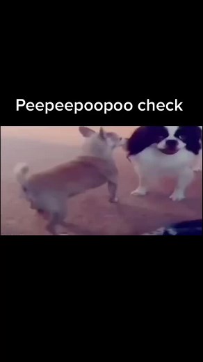 Peepeepoopoo check