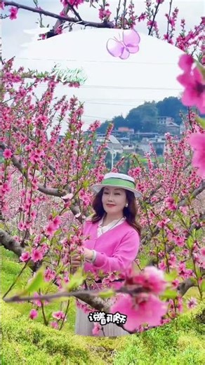Springtime Peach Blossom Festival: A Colorful Butterfly's Paradise
