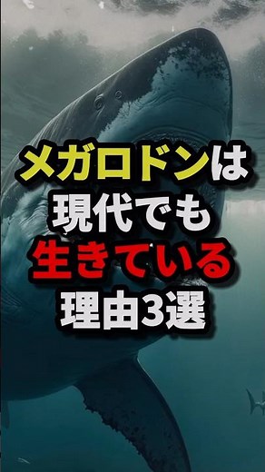 ㊗️1.77 million views‼︎3 reasons why the Megalodon is still alive today #urbanlegend #horror #trivia