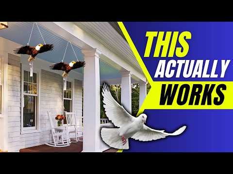 How to Keep Birds Off Your Porch – 5 Proven Tricks That Work!