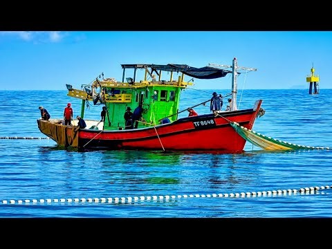 Inside the Life of Anchovy Purse Seine Fishermen | Kampung Fikri, Setiu, Malaysia