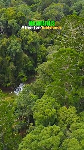 Yes, #MalandaFalls really is this magical… the swimming pool was built in the early 1900s and still welcomes swimmers to this day. 💦 Don’t believe us? Take 🎥 IG/@wanderwithseven word for it. Tropical North Queensland #exploretnq Visit Queensland, Australia #queensland Australia.com #australia | Discover Atherton Tablelands