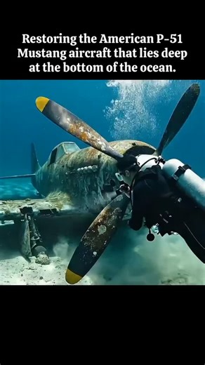 restoration_magic_1 on Instagram: "After Decades Beneath the Deep Ocean… The Unbelievable Restoration of a North American P-51 Mustang #restoration #jet #fighterjet #construction #deepsea"