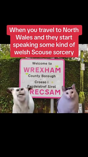 What is this sorcery you are talking? #wales #lol #language #wrexham | Tom Jones Wales